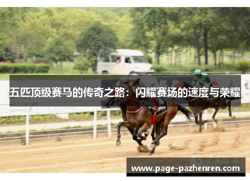 五匹顶级赛马的传奇之路：闪耀赛场的速度与荣耀