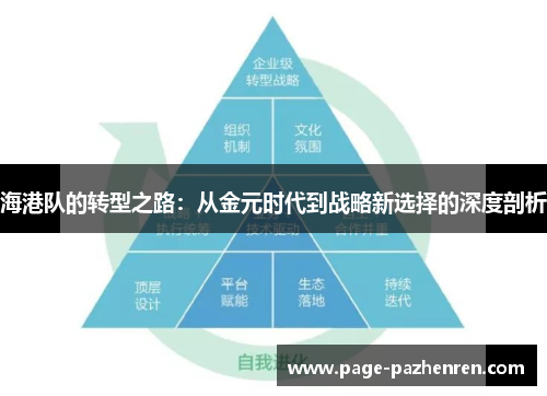 海港队的转型之路：从金元时代到战略新选择的深度剖析