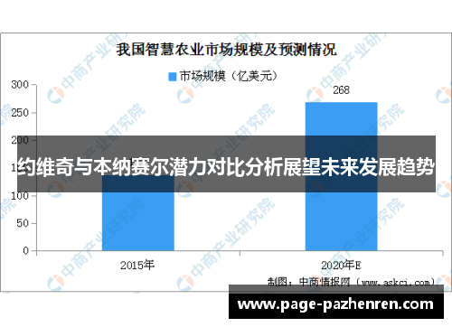 约维奇与本纳赛尔潜力对比分析展望未来发展趋势