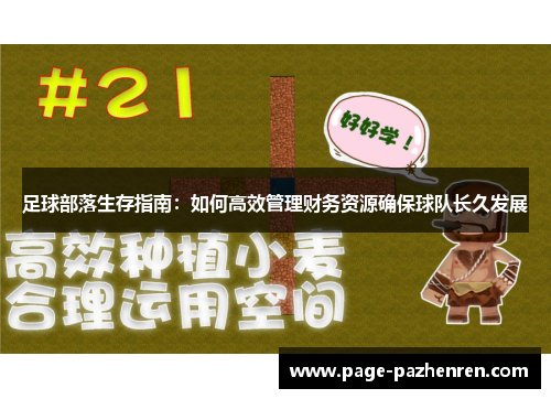 足球部落生存指南：如何高效管理财务资源确保球队长久发展