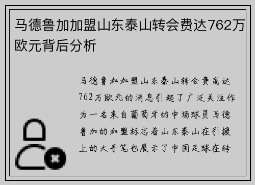 马德鲁加加盟山东泰山转会费达762万欧元背后分析